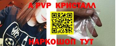 стаф Кунгур