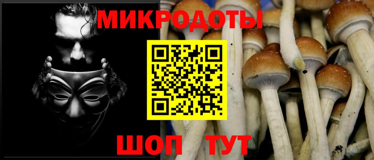 Кашира  Галлюциногенные грибы мицелий  Вход с VPN 